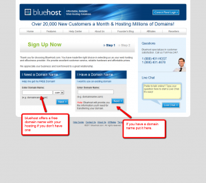 Domain Name Setup with your Bluehost.com hosting