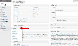 General WordPress Settings