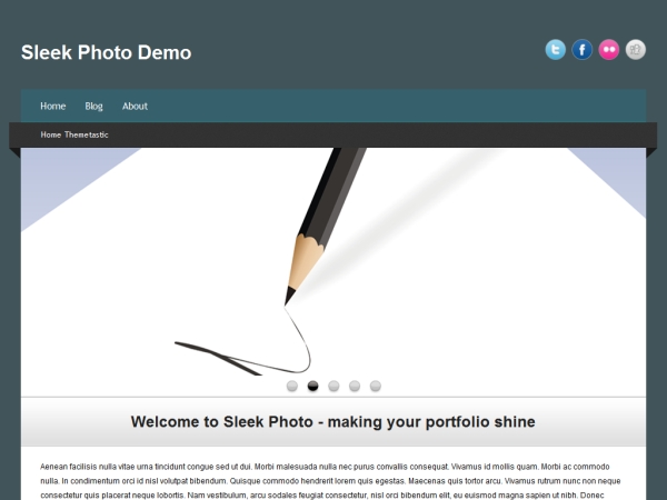 Sleek Photo Theme