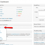 General WordPress Settings