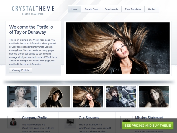 15 Free and Premium WordPress Portfolio Themes