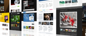 WordPress Themes