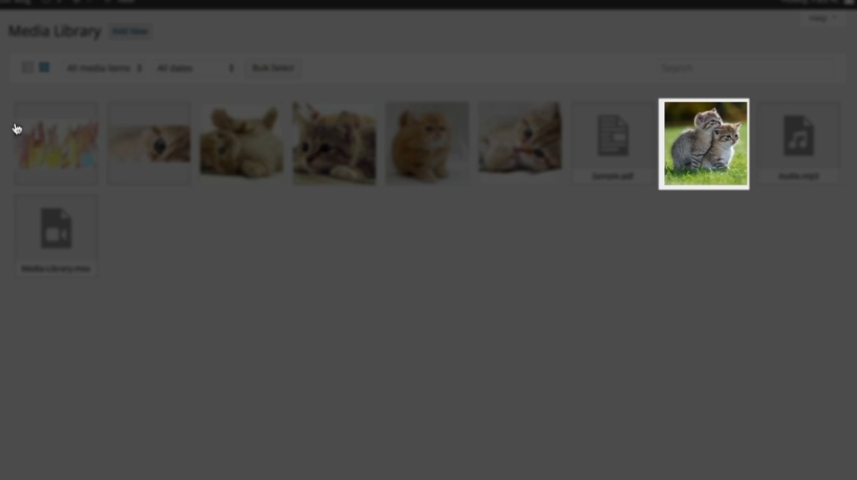 Step By Step Guide: The Media Library