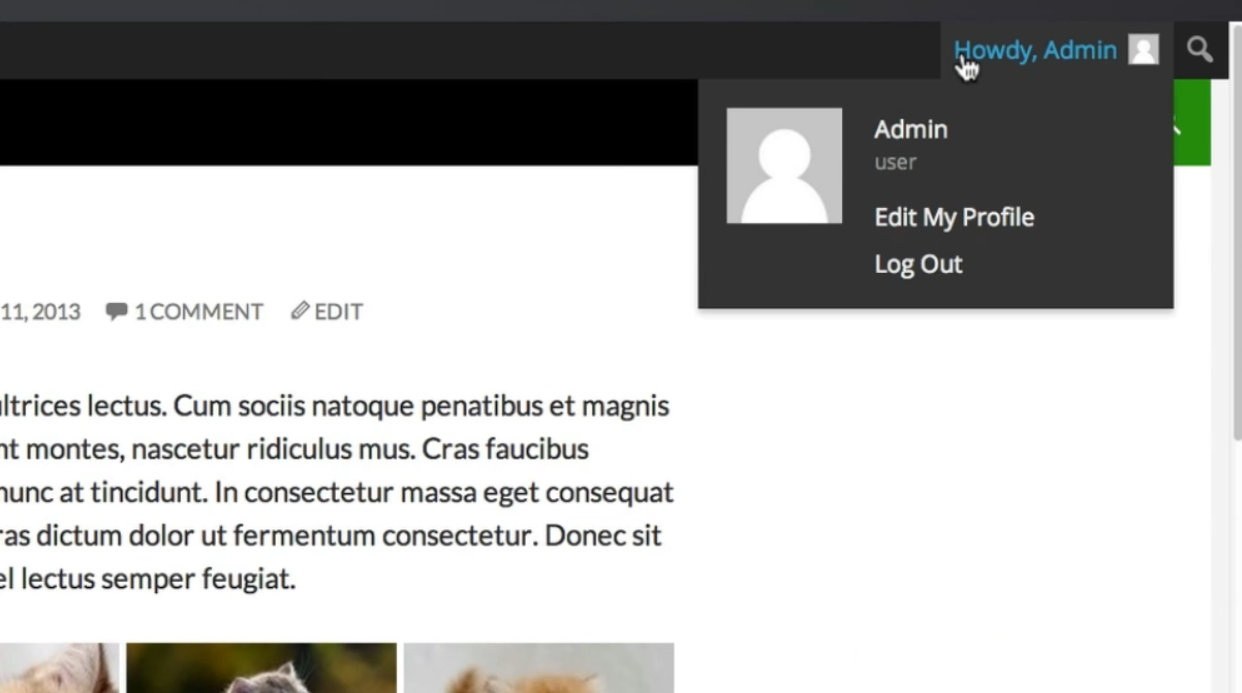 Step By Step Guide: The Admin Bar