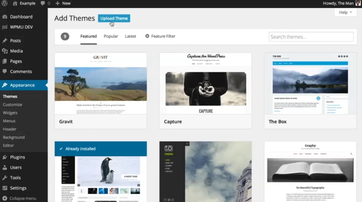 Step By Step Guide: Install a Theme