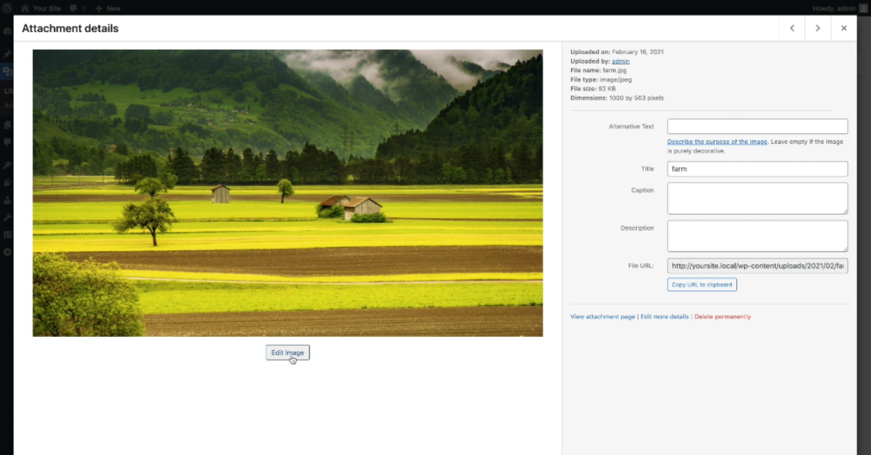 Step By Step Guide: The Image Editor